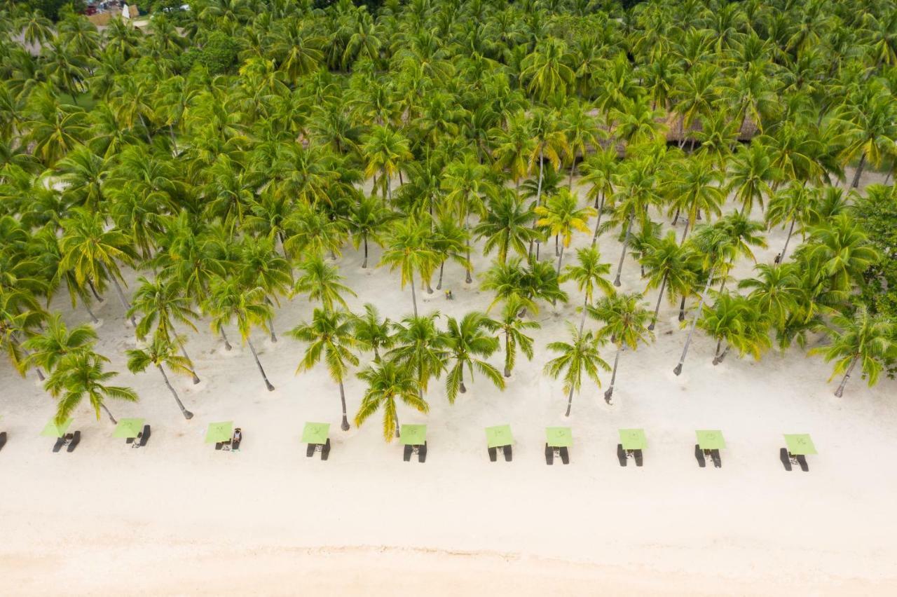 Oceanica Resort Panglao, Bohol Eksteriør billede Palm trees on the beach