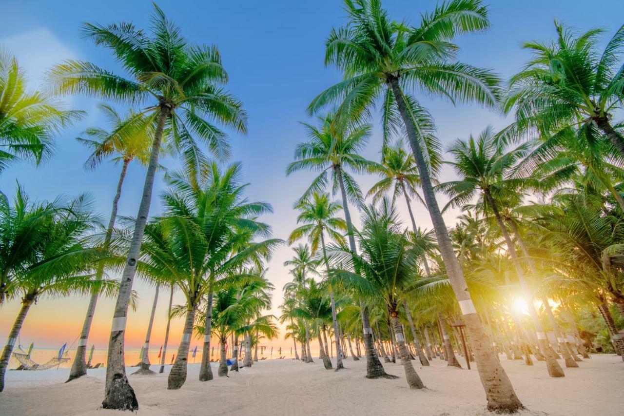 Oceanica Resort Panglao, Bohol Eksteriør billede Palm trees on a beach